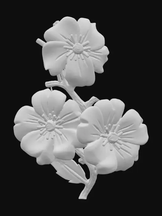 3D model for 1000053218.jpg