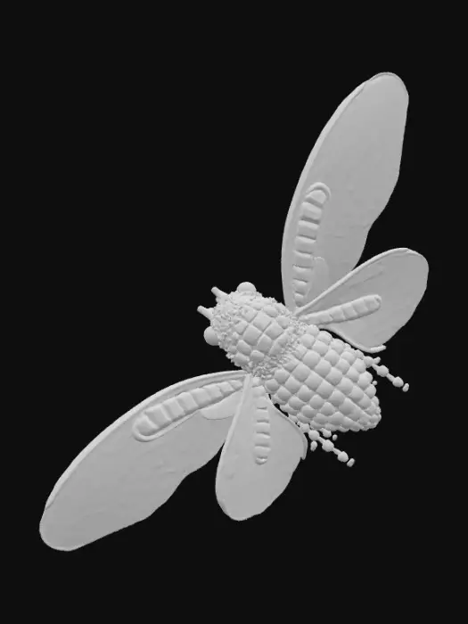 3D model for 1000053256.jpg