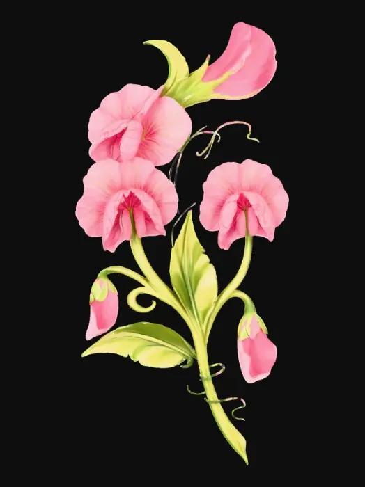 3D model for 1000054106.jpg