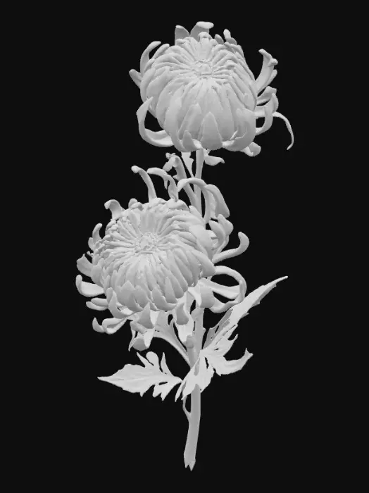 3D model for 1000054096.jpg