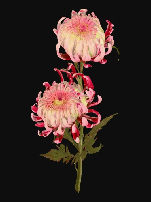 3D model for 1000054096.jpg