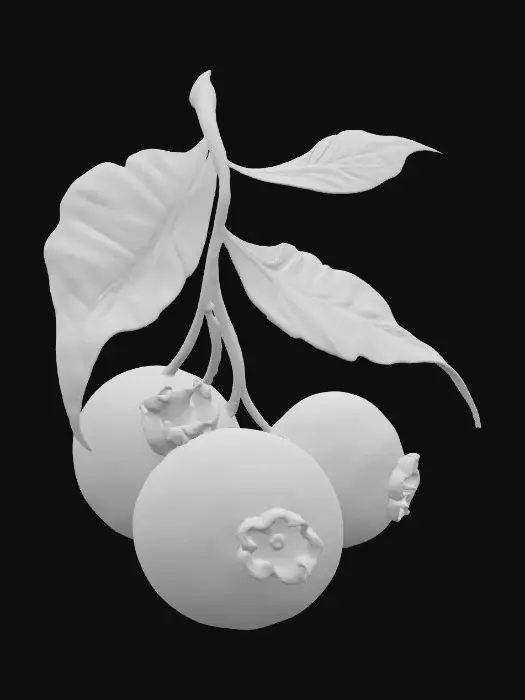 3D model for 1000054102.jpg