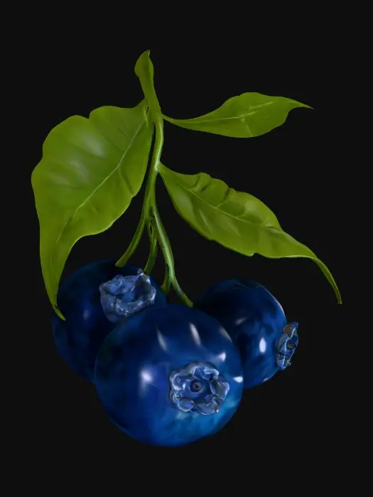 3D model for 1000054102.jpg