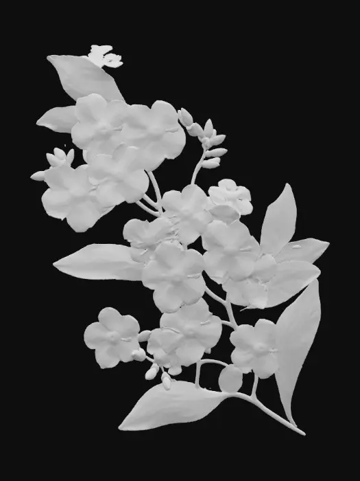 3D model for 1000054420.jpg