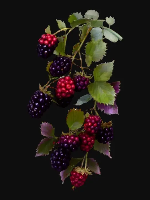 3D model for 1000054959.jpg