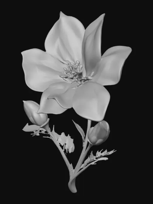 3D model for 1000059164.jpg