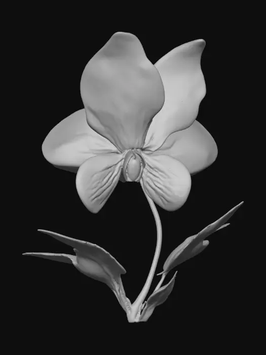 3D model for 1000059107.jpg