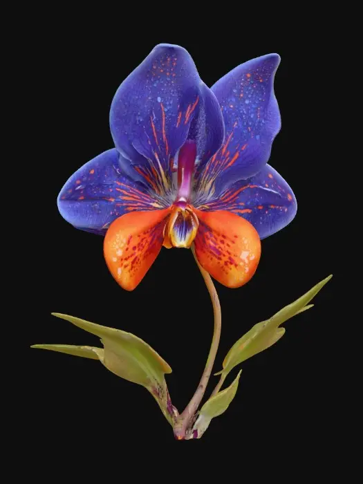 3D model for 1000059107.jpg