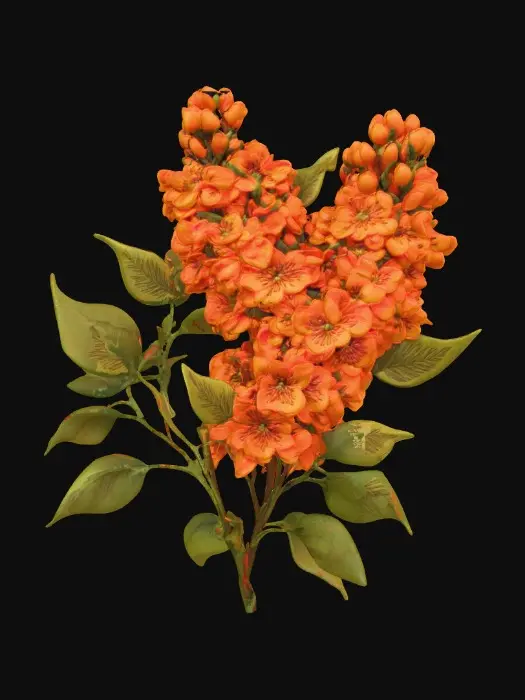 3D model for 1000059125.jpg