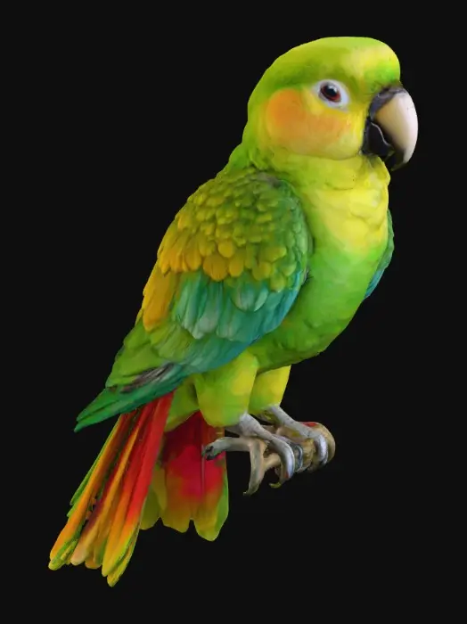 3D model for 1000059396.jpg