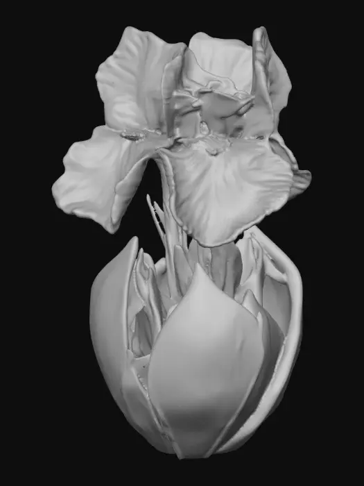 3D model for 1000059056.jpg