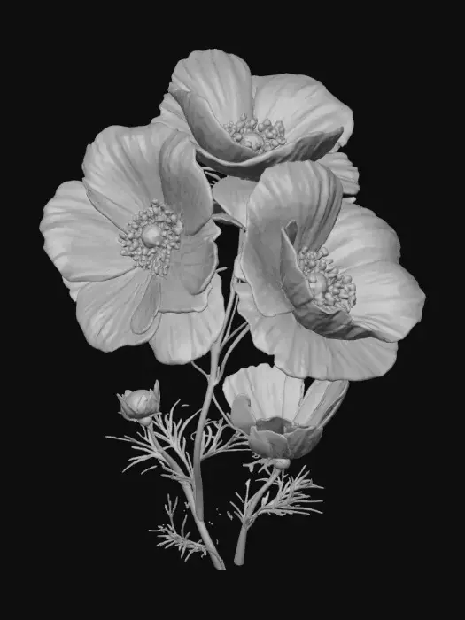 3D model for 1000059593.jpg