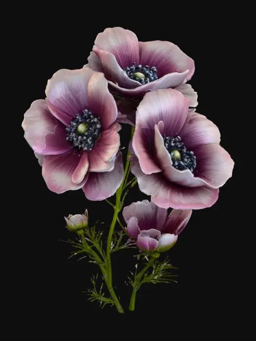 3D model for 1000059593.jpg