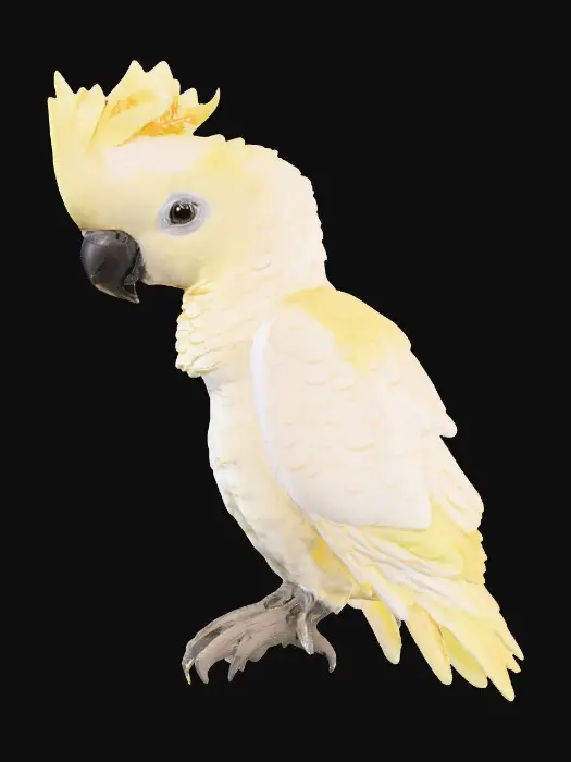 3D model for A precious baby Cockatoo with detailed feather texture is perched on a tree branch adorned with vibrant yellow blossoms. An arching branch extends gracefully above the bird, creating a natural frame.