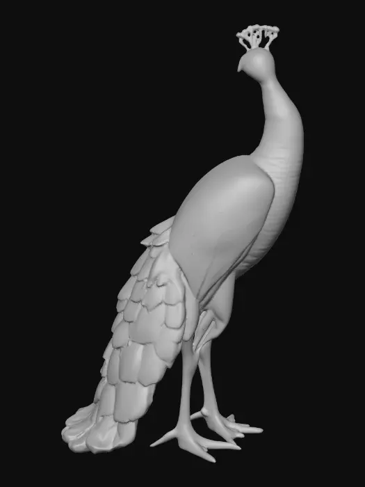 3D model for Ceramic flamboyant young peacock displaying a fantastical extravagant tail of bright colorful feathers. Layers of textures. Highly stylized art.
