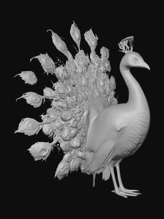 3D model for A flamboyant young peacock displaying a fantastical extravagant tail of bright, shimmering, colorful feathers, intricately detailed with layers of iridescent textures. Highly stylized illustration in the exquisite, jeweled, and ornate style of Jay Strongwater, featuring vibrant jewel-toned colors, flowing Art Nouveau lines, illuminated by soft, diffused, ambient lighting that accentuates the iridescence.