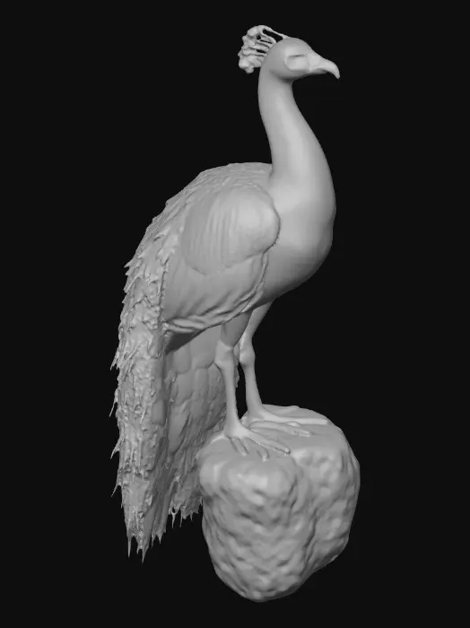 3D model for A flamboyant young peacock displaying a fantastical extravagant tail of bright, shimmering, colorful feathers, intricately detailed with layers of iridescent textures. Highly stylized illustration in the exquisite, jeweled, and ornate style of Jay Strongwater, featuring vibrant jewel-toned colors, flowing Art Nouveau lines, illuminated by soft, diffused, ambient lighting that accentuates the iridescence.