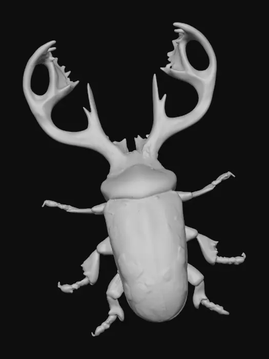 3D model for Floral Stag Beetle