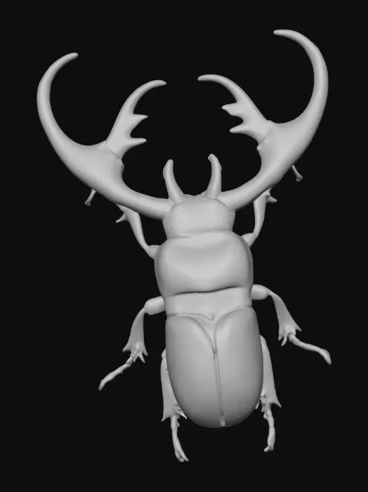 3D model for Artistic Stag Beetle