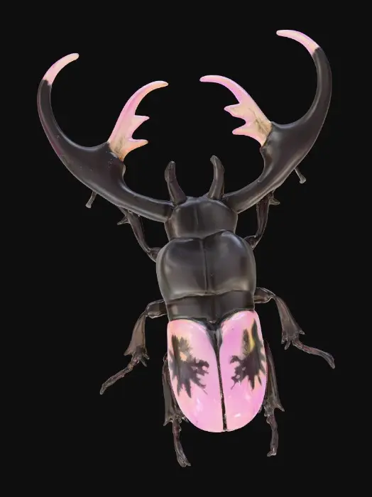 3D model for Artistic Stag Beetle