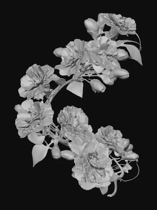 3D model for Blossom Arc