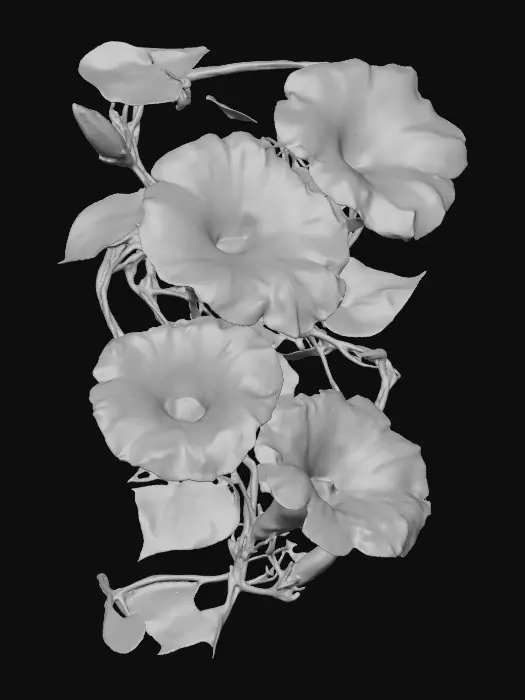 3D model for Morning Glory Symphony