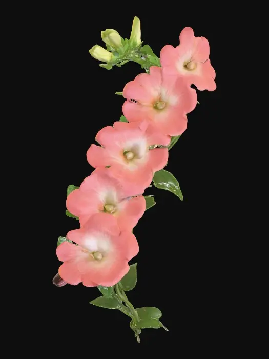 3D model for Scarlet Symphony