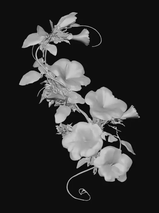 3D model for Petunia Elegance