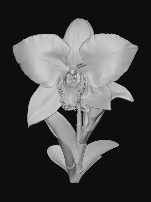 3D model for Azure Blossom