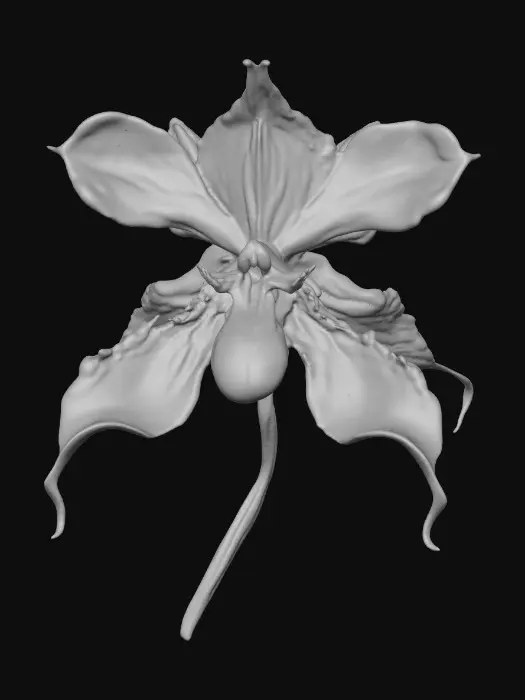 3D model for Radiant Orchid Blossom