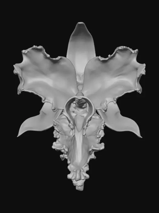 3D model for Ethereal Bloom