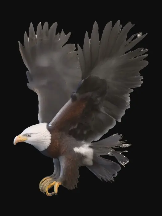 3D model for Majestic Flight