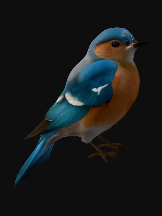 3D model for Bluebird Blossom
