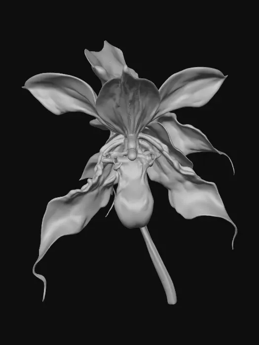3D model for Ethereal Bloom