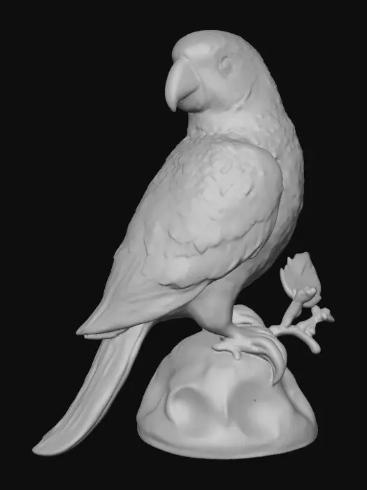 3D model for Rainbow Perch