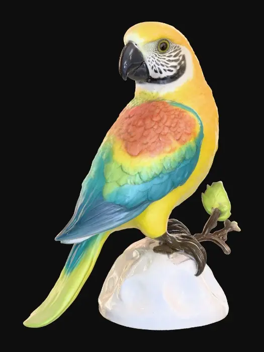 3D model for Rainbow Perch