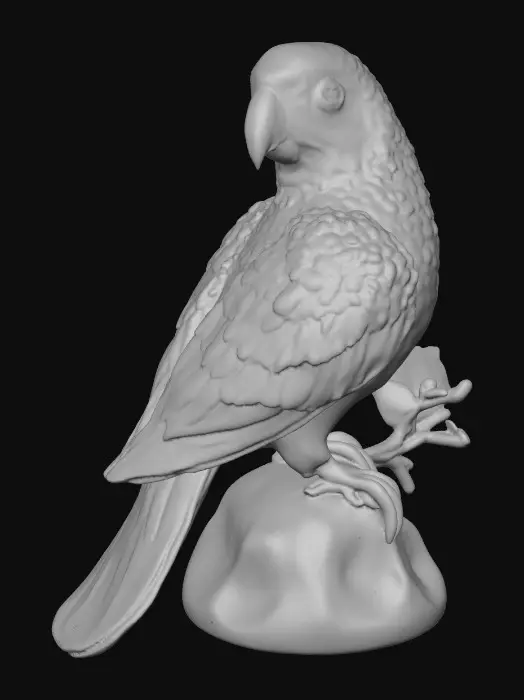 3D model for Rainbow Perch