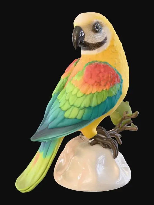 3D model for Rainbow Perch