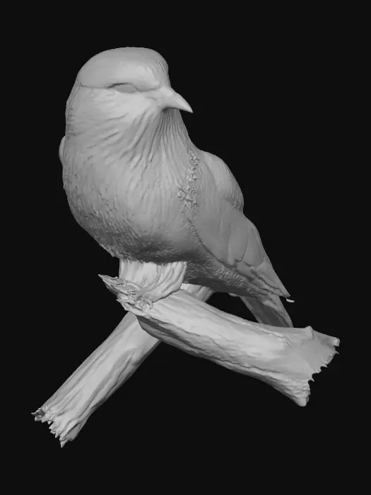 3D model for Colorful Perch