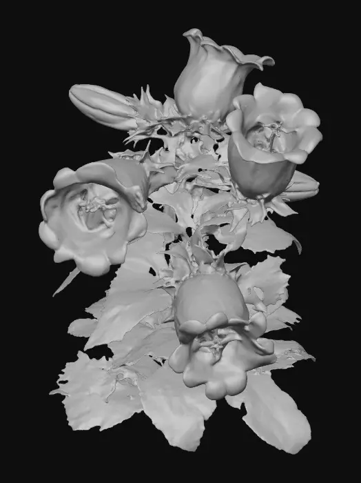 3D model for Bellflower Elegance