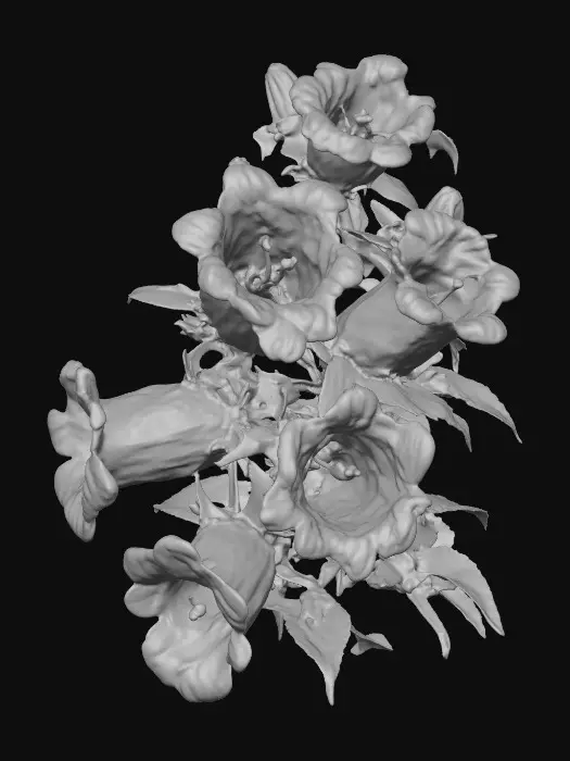 3D model for Purple Bellflowers