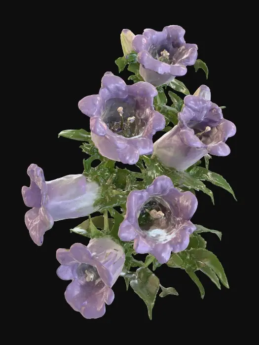 3D model for Purple Bellflowers