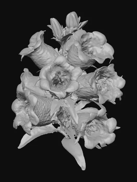 3D model for Lavender Bells Blossoms