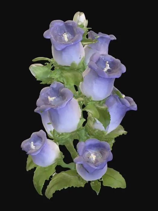 3D model for Purple Bellflower Blossom