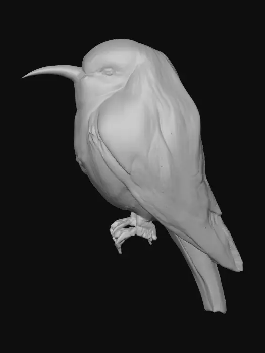 3D model for Colorful Bird Perch