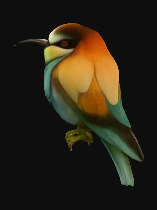 3D model for Colorful Bird Perch