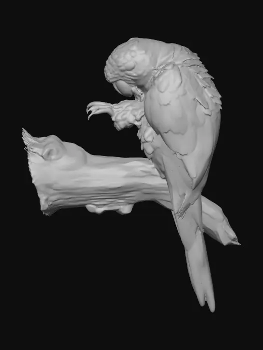 3D model for Perched Beauty