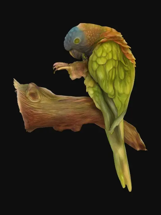 3D model for Perched Beauty