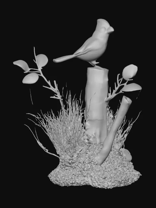 3D model for Cardinal Perch