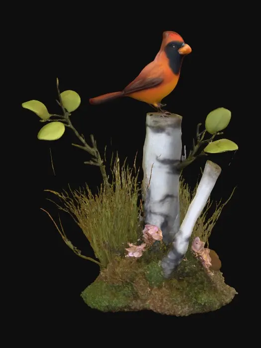 3D model for Cardinal Perch